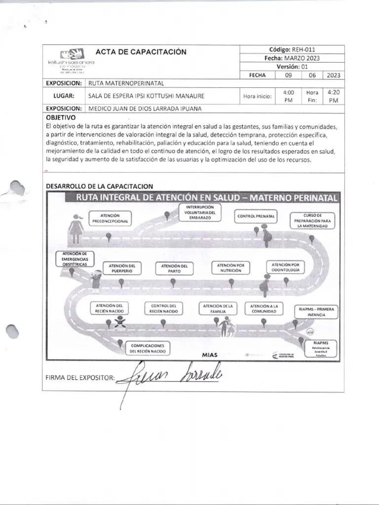RUTA MATERNOPERINATAL | PDF