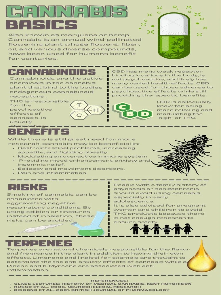 Cannabis Infographic | PDF | Medical Cannabis | Cannabis