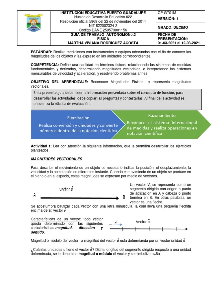 Guia 2 Fisica10 | PDF | Vector Euclidiano | Sistema De Coordenadas Cartesianas