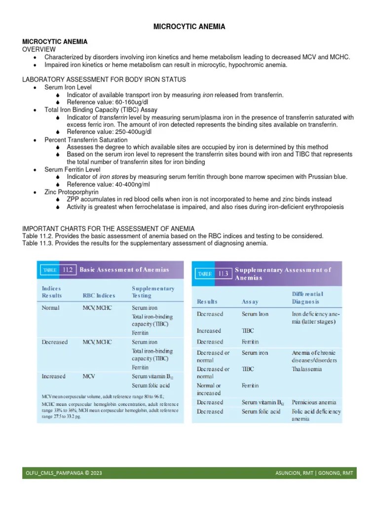 Week 9 Anemia Part II - Microcytic And Macrocytic Anemia_revised - Copy-3 | PDF | Anemia ...