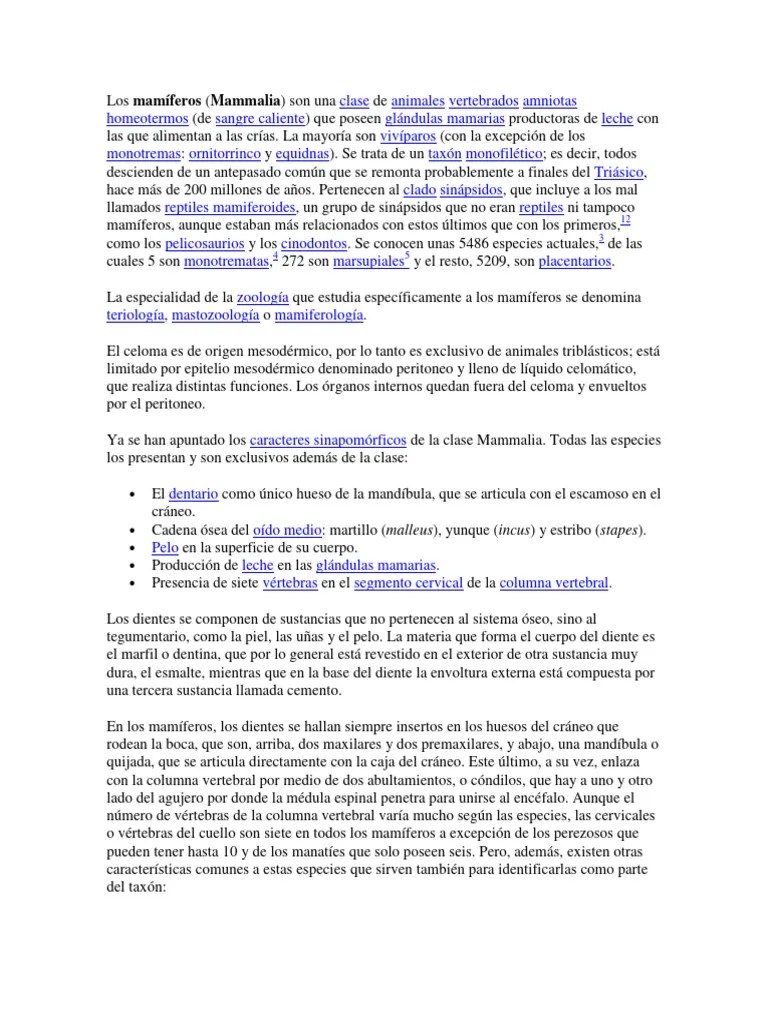 Los Mamíferos | PDF | Digestión | Mamíferos