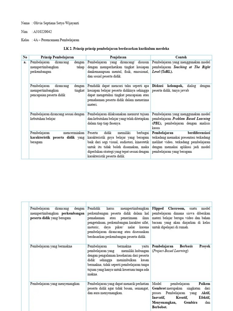 Prinsip-Prinsip Pembelajaran | PDF