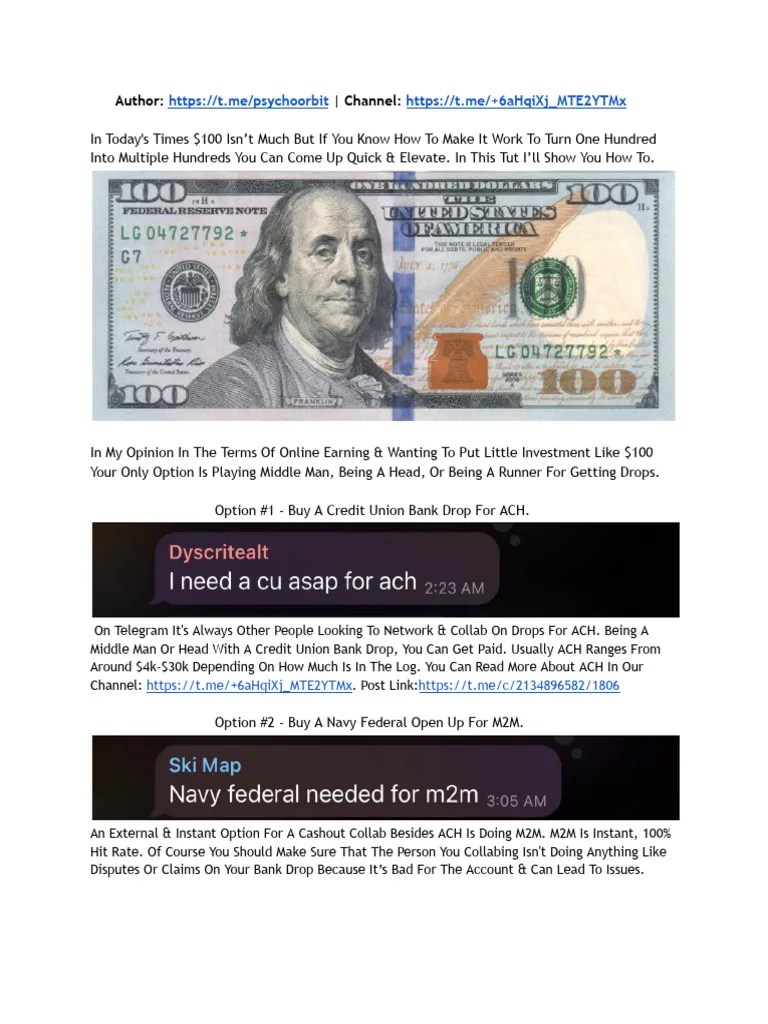 How To Turn $100 Into Thousands | PDF