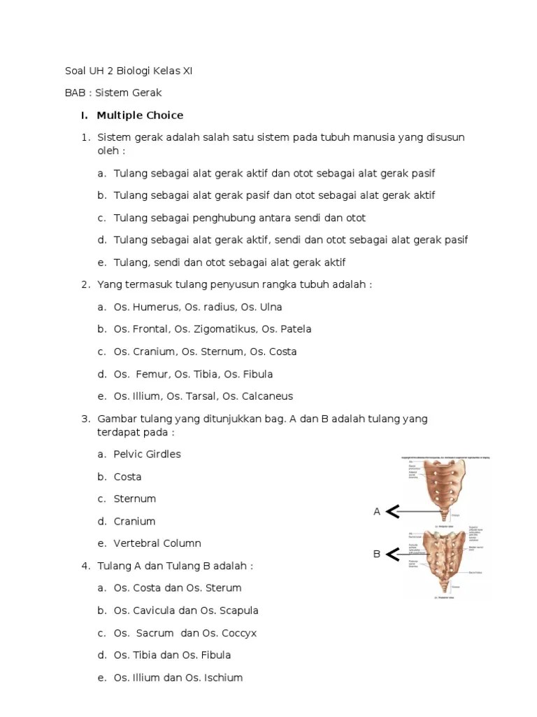 Kunci jawaban soal hots ruang lingkup biologi sma kelas x. Soal Uh 2 Biologi Kelas Xi Pdf