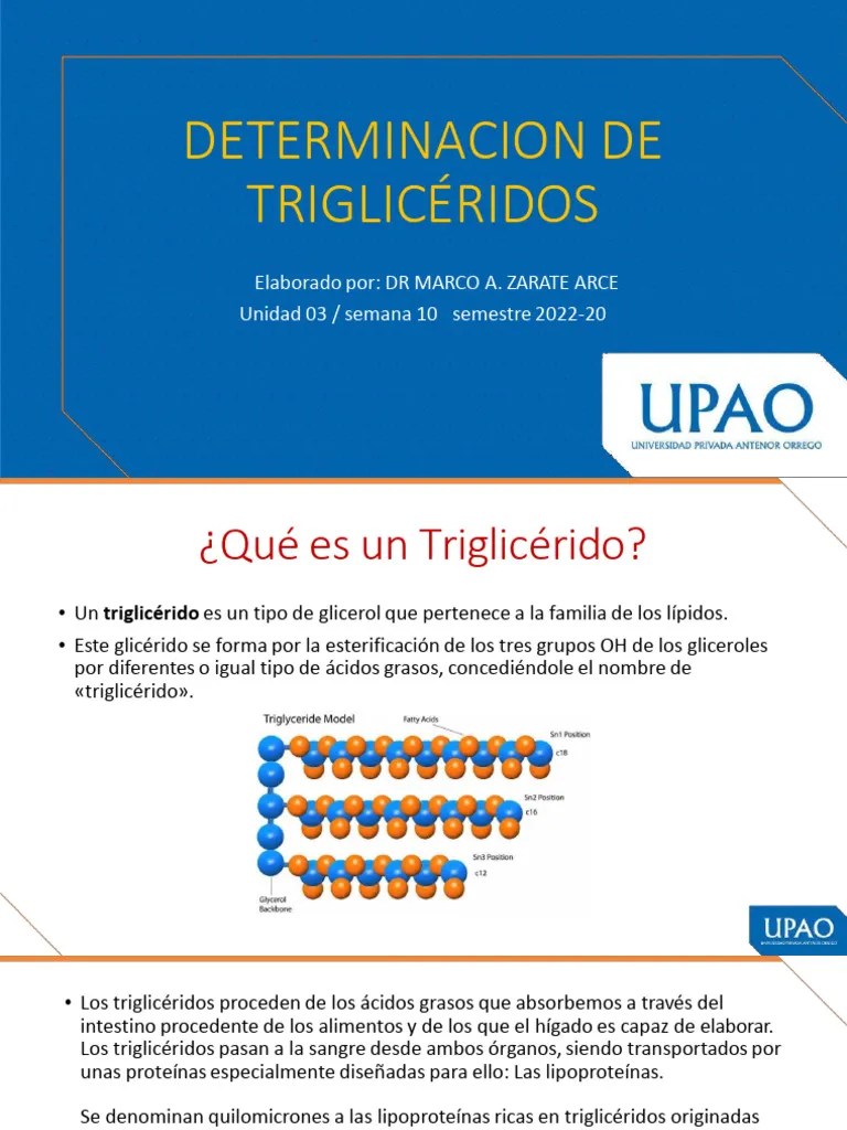 Sesion 10 Practica (1) Bioq - Trigliceridos | Descargar Gratis PDF ...