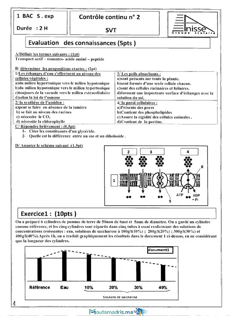 Devoir SVT 1bac SX International FR S1 6 | PDF