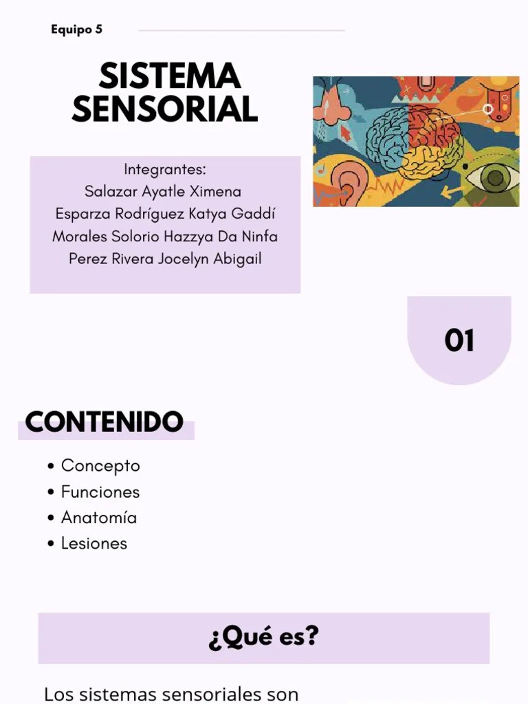 Sistema Sensorial 2 | PDF | Sentidos | Piel