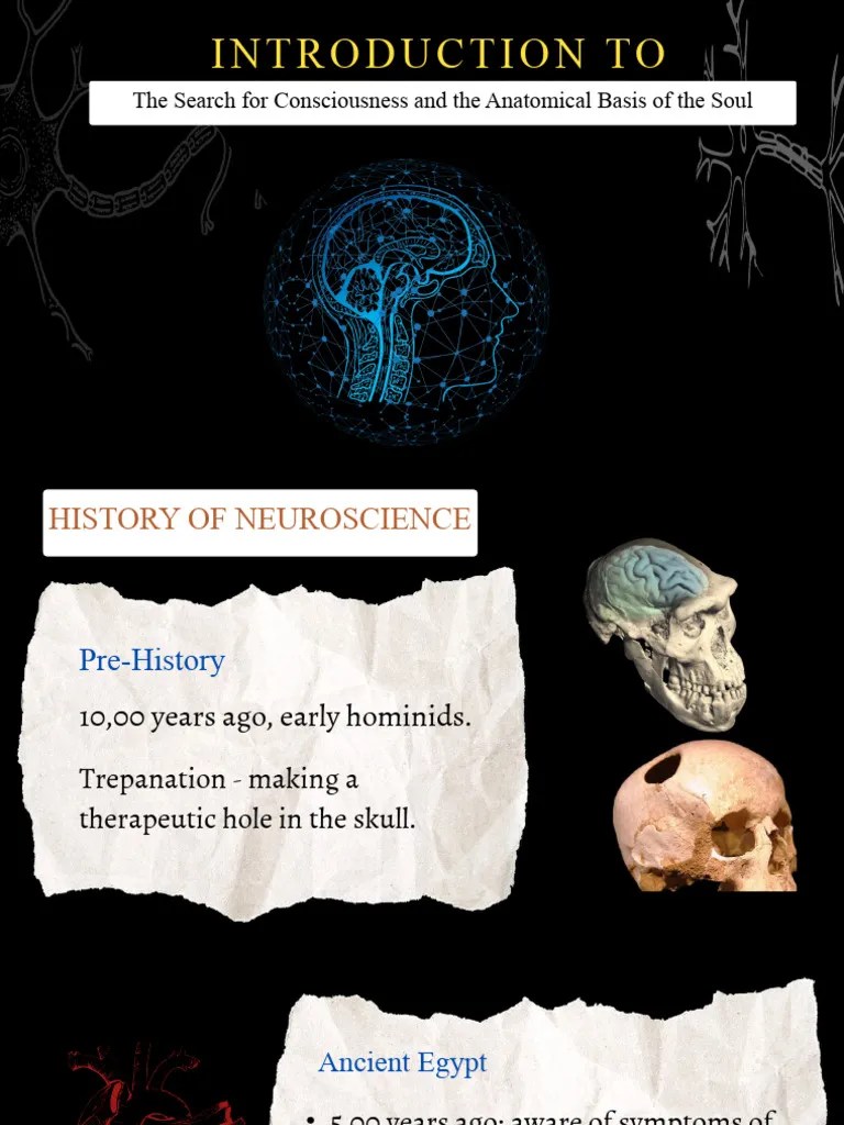 Introduction To Neuroscience | PDF | Brain | Neuroscience