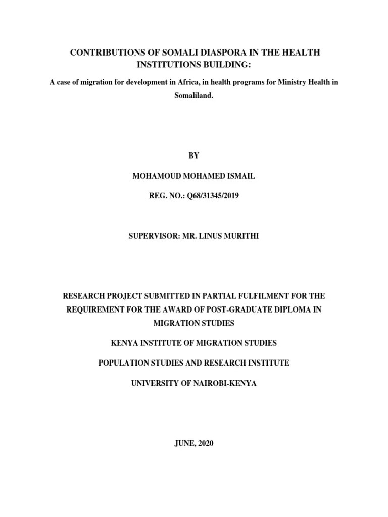 Contributions Of Somali Diaspora In The Health Institutions Building ...