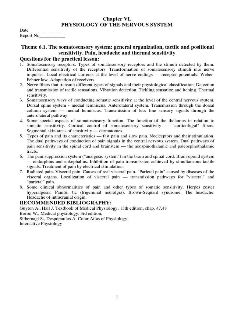 Somatosensory | PDF | Somatosensory System | Pain