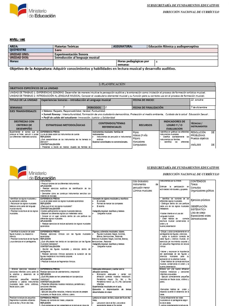 Ejemplo De Planificación | PDF | Clave | Plan De Estudios