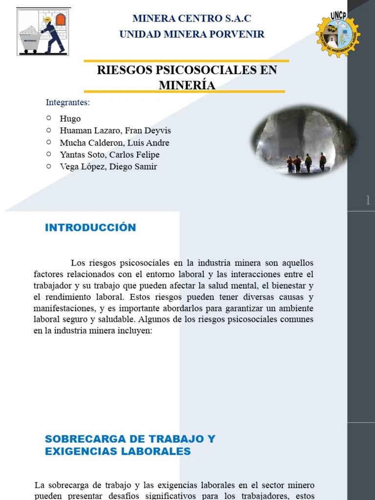 Riesgos Psicosociales | Descargar Gratis PDF | Seguridad Y Salud Ocupacional | Estrés (biología)
