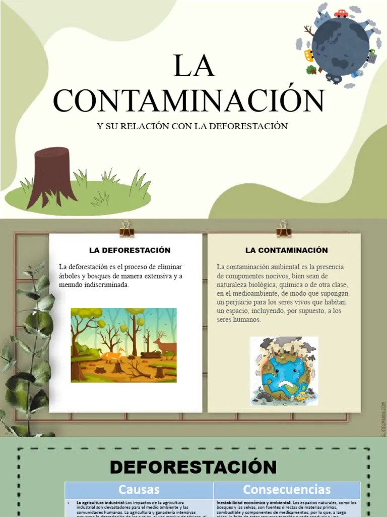 La Contaminación | PDF | Deforestación | Contaminación