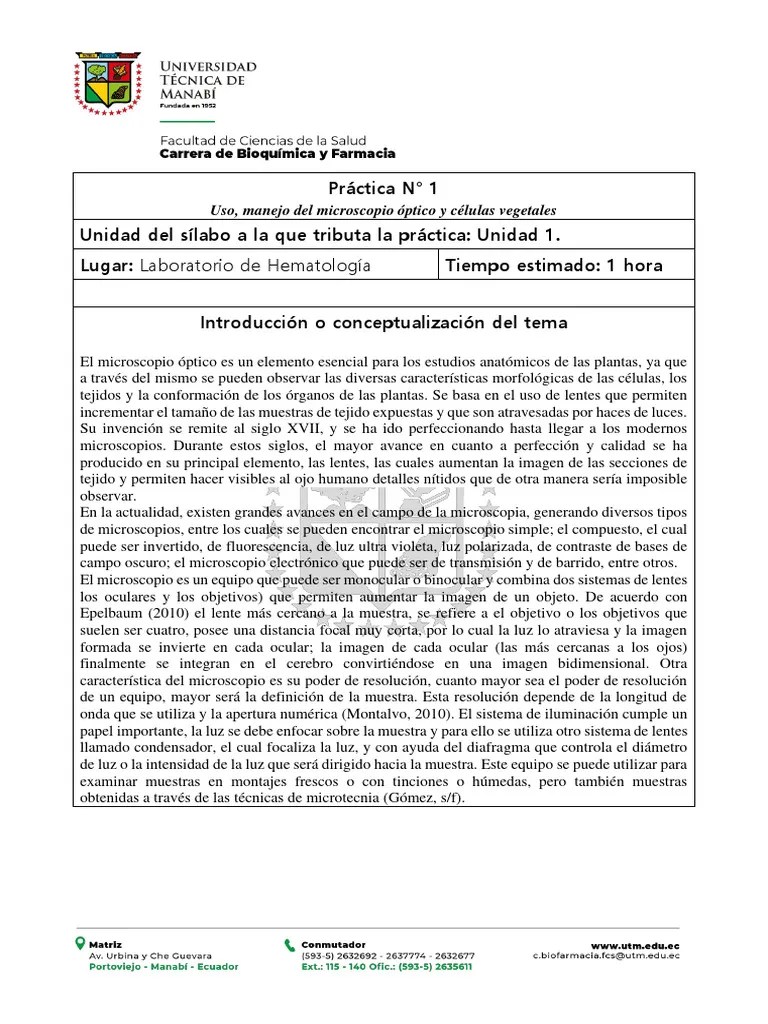 Práctica 1. Uso Y Manejo Del Microscopio Óptico Y Células Vegetales ...
