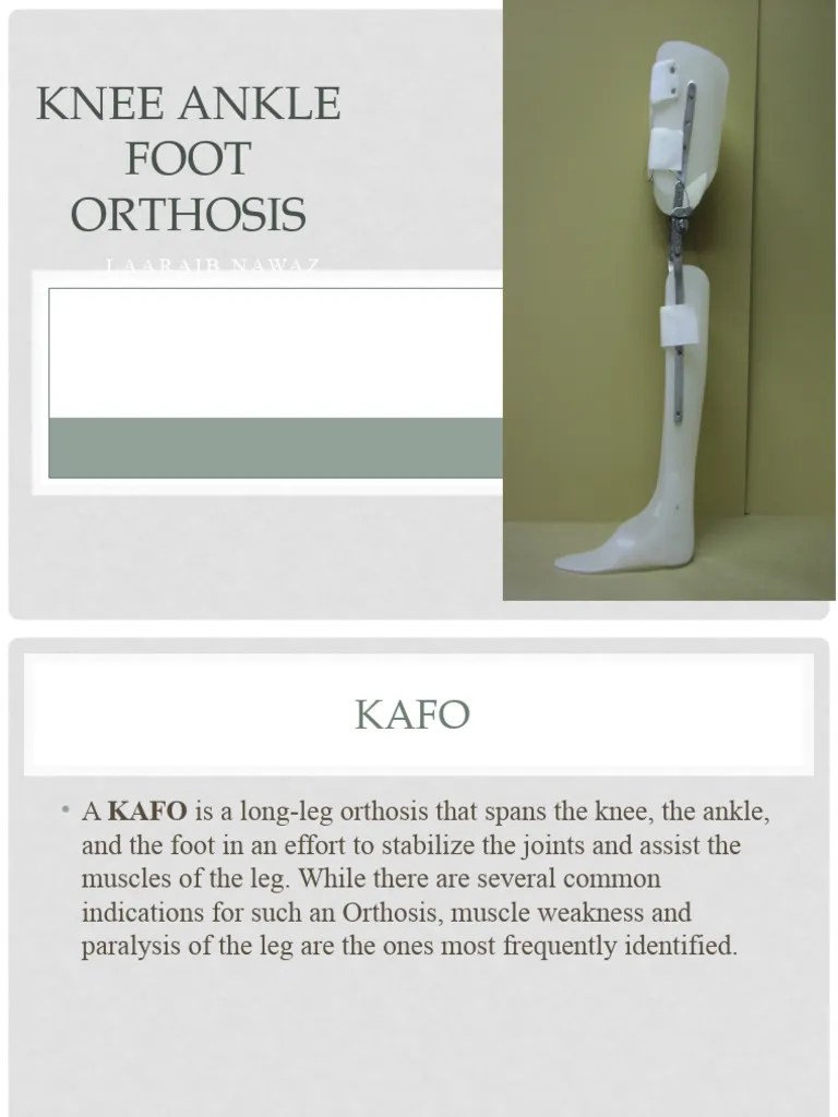 Knee Ankle | PDF | Knee | Anatomical Terms Of Motion