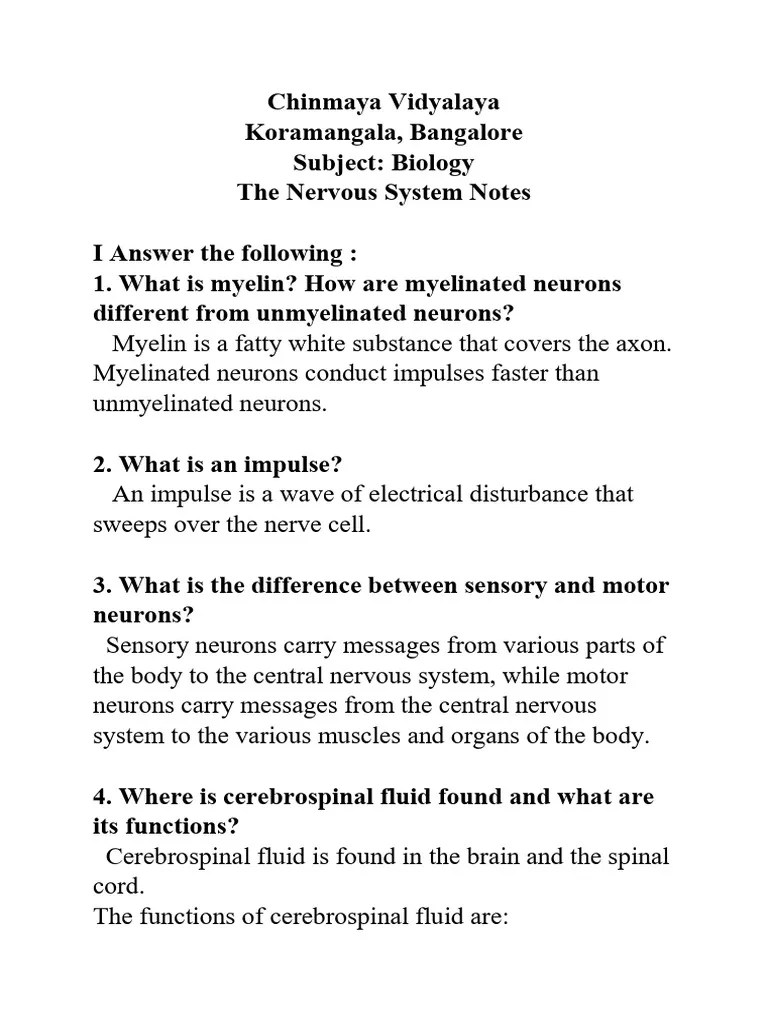 Nervous System Notes | PDF | Central Nervous System | Nervous System