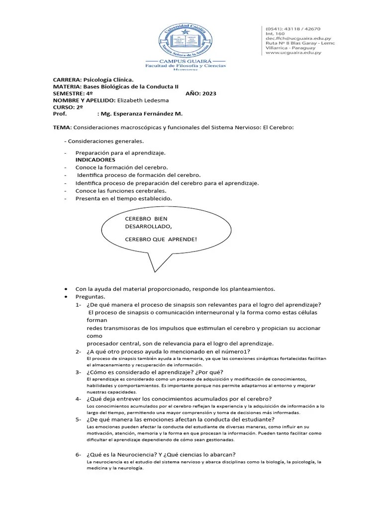 Bases Biológicas De La Conducta II Consideraciones Macroscópicas Y Funcionales Del Sistema ...