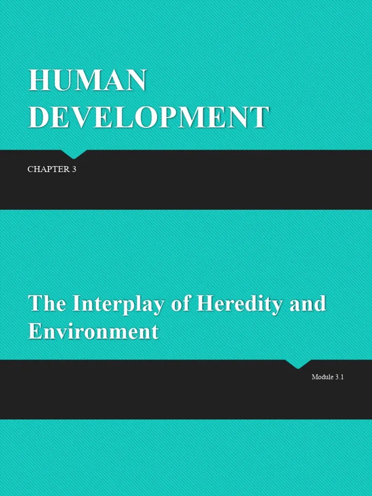Human Development - Chapter 3 | PDF | Attachment Theory | Infants