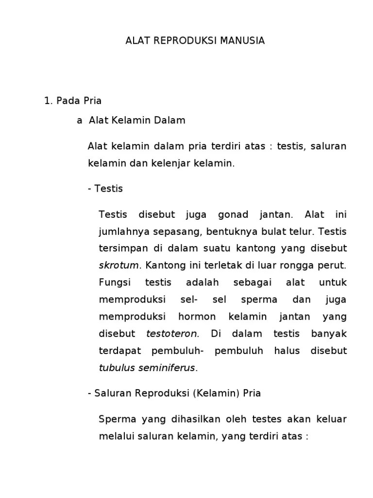 Alat Reproduksi Manusia | PDF
