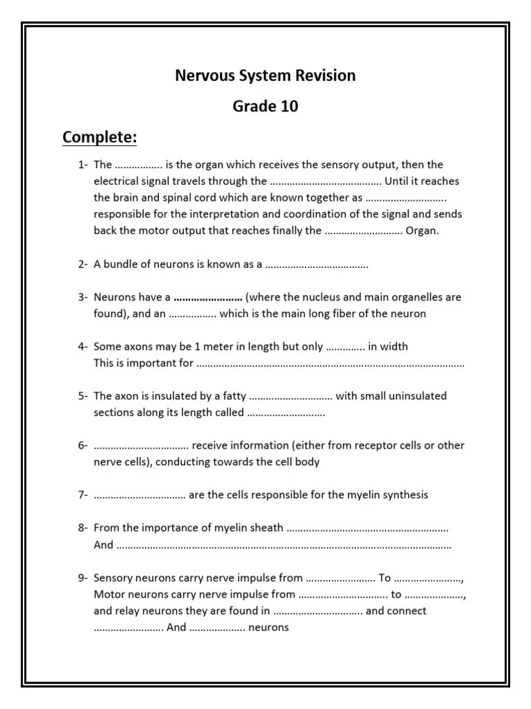 Nervous System Revision | PDF | Neuron | Axon