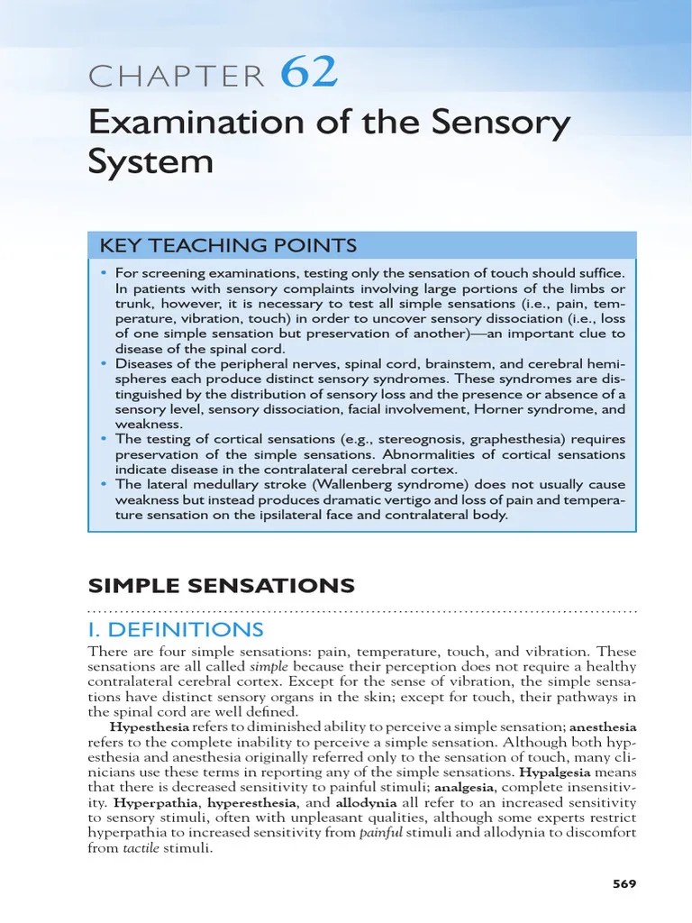 First Page PDF | PDF | Senses | Somatosensory System