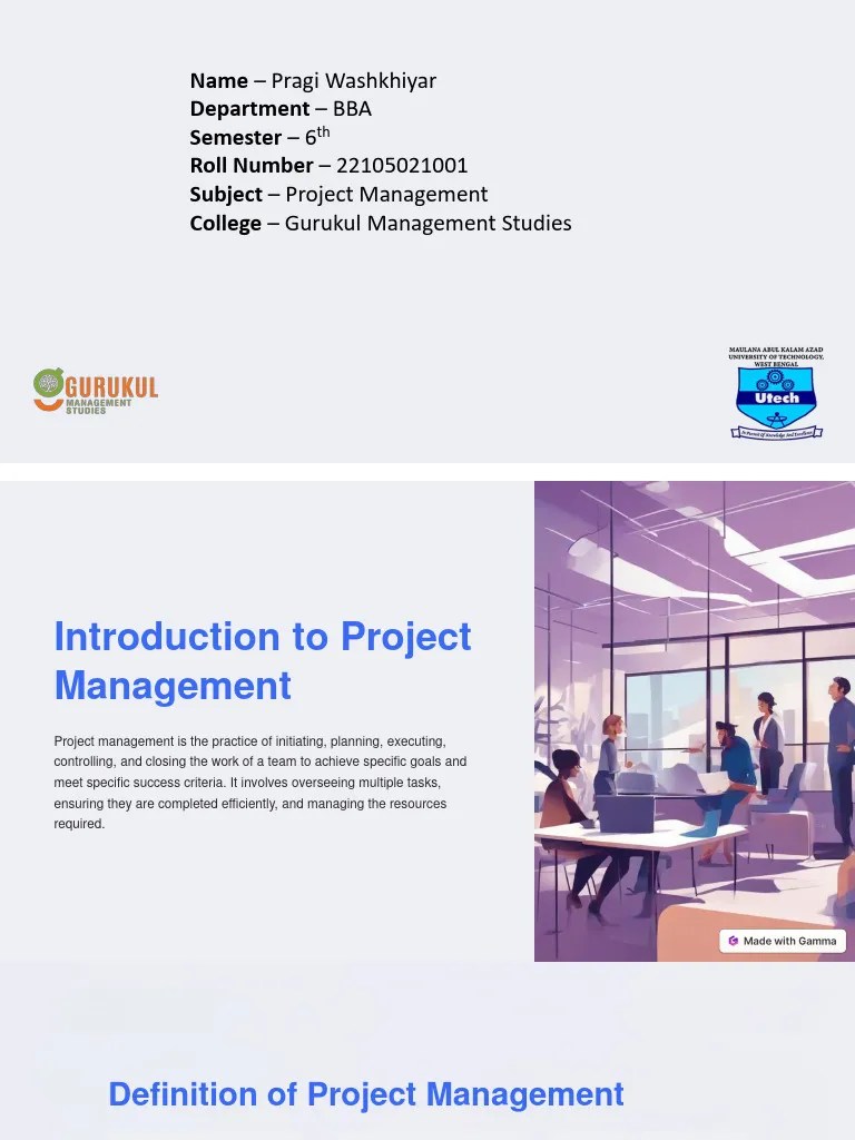Project Management | PDF | Project Management | Software Development Process