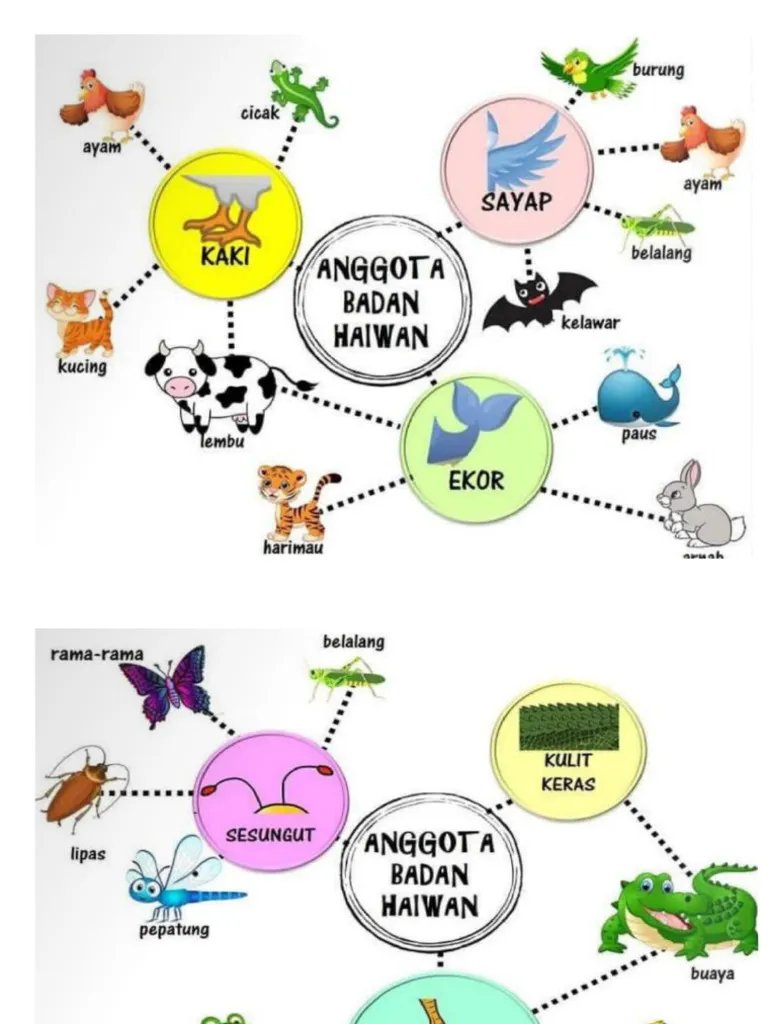 bahagian haiwan tahun 1  PDF.