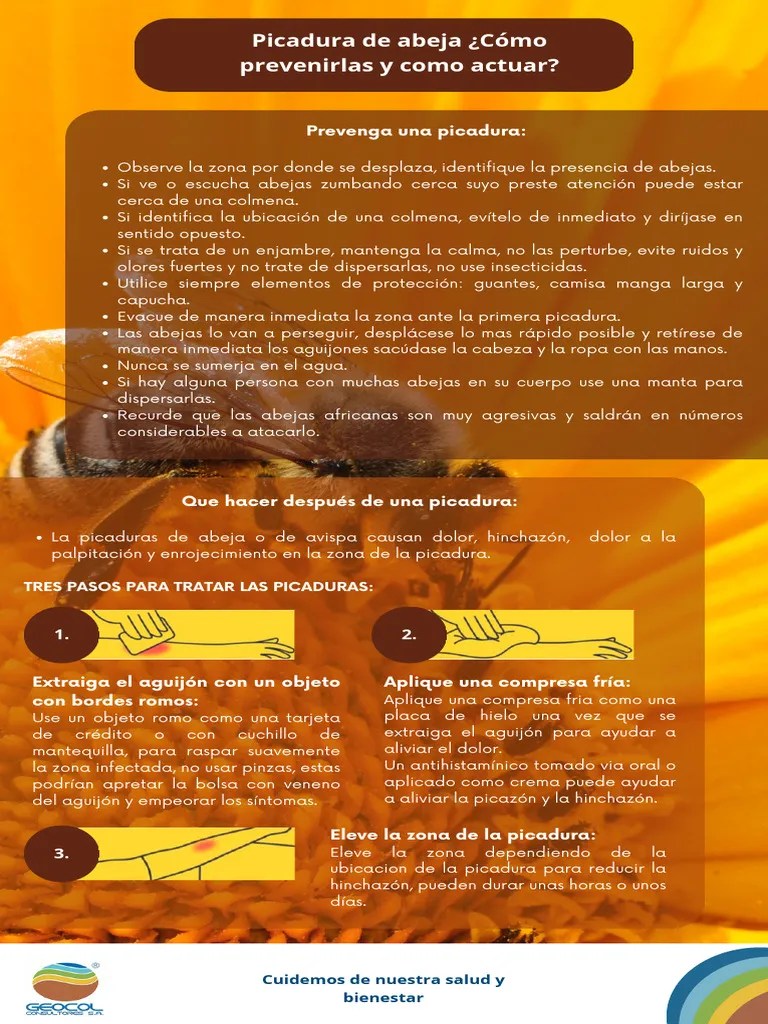 Picadura De Abeja ¿Cómo Prevenirlas Y Como Actuar | PDF | Avispa | Abejas
