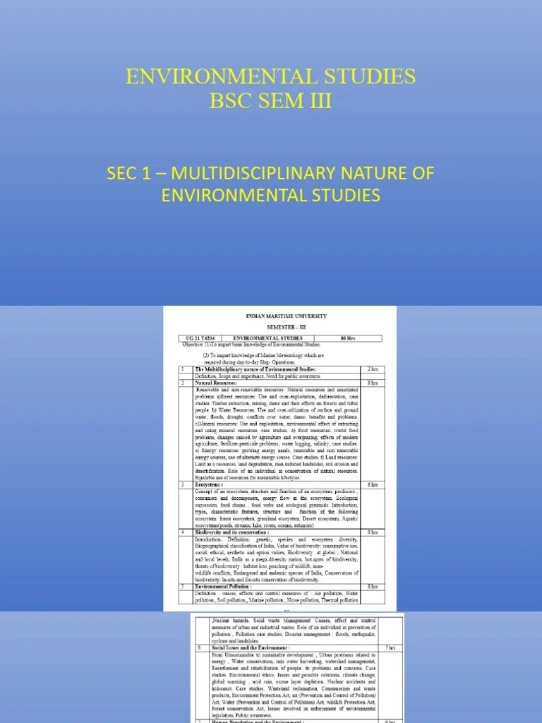 Sec 1 - Environmental Studies | PDF | Natural Environment | Pollution