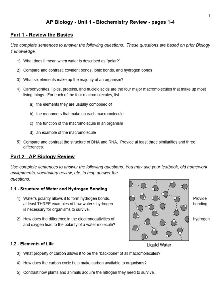 PRINTversion2 - Packet 2 - AP Biology | Download Free PDF | Cell Signaling | Genotype