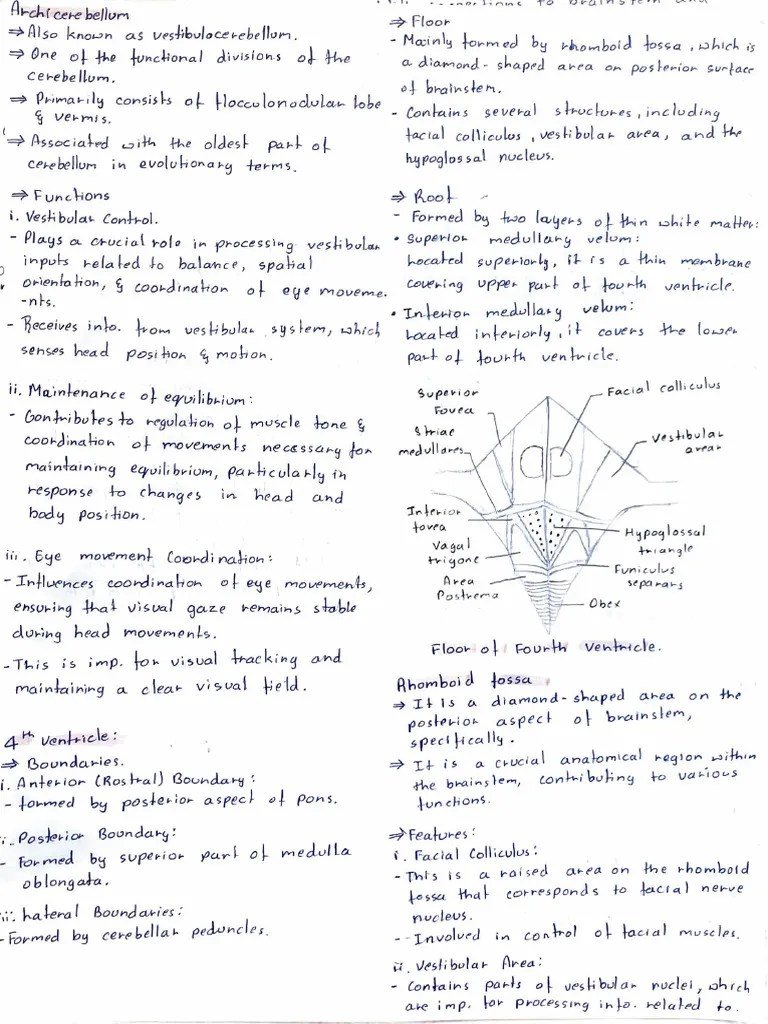 Biochemistry | PDF