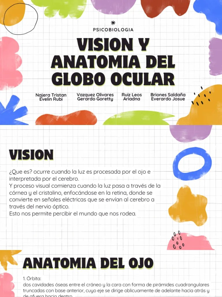 Anatomia Del Ojo Pdf C Rnea Percepci N Visual - Sunset Textures - Creative 4K Collection