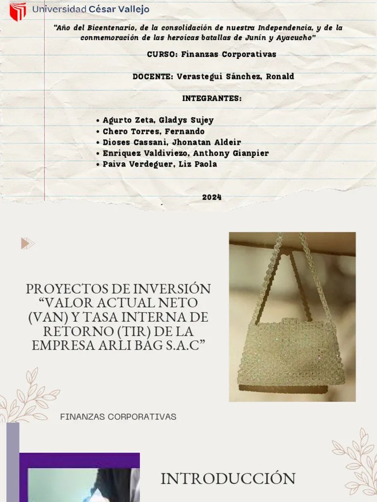 Proyectos De Inversión 