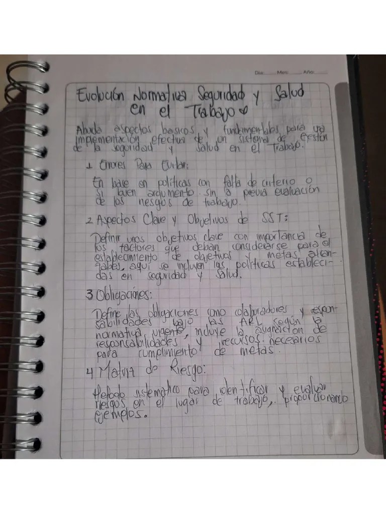 Seguridad Y Salud En El Trabajo | PDF