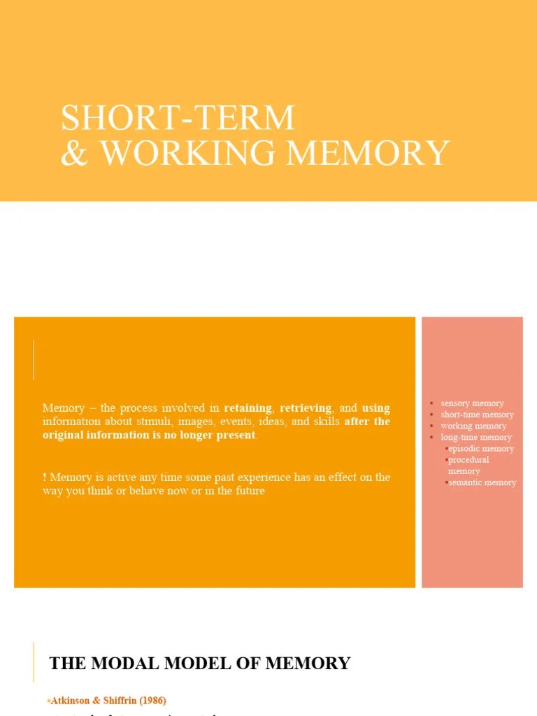 STM Working Memory | PDF | Memory | Long Term Memory