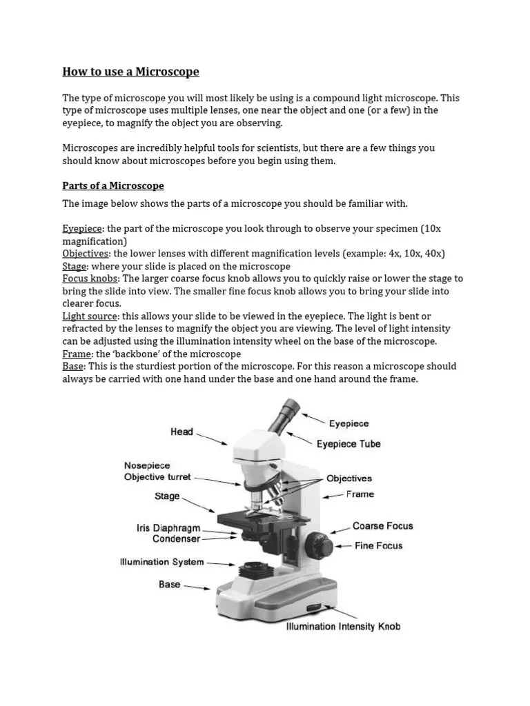 Microscope Handout | PDF | Optical Devices | Atomic