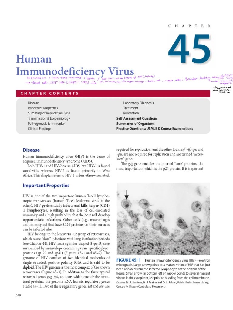 Hiv 2 | PDF | Hiv | Retrovirus