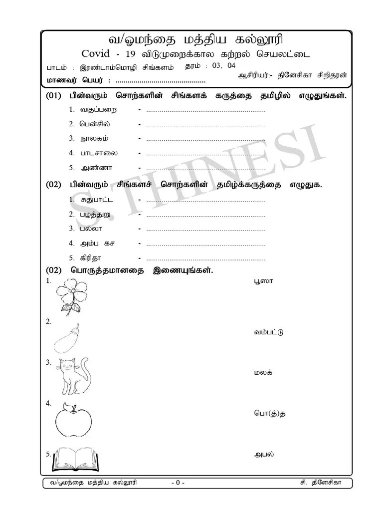 Second Language | PDF