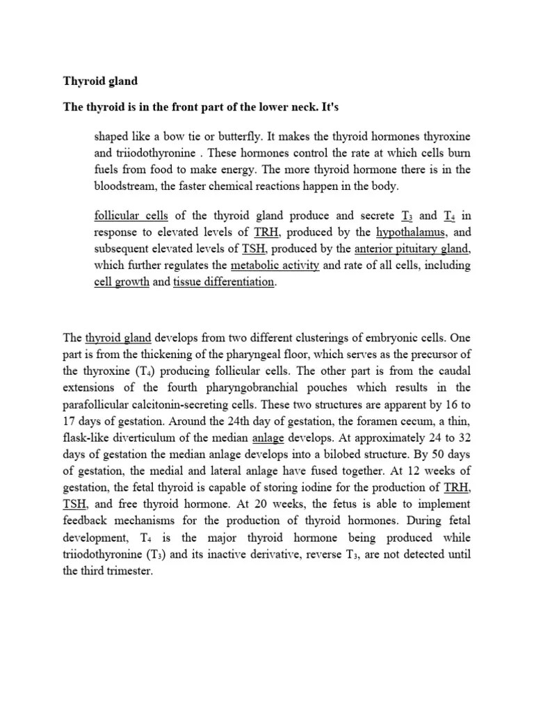 Thyroid Gland | PDF | Thyroid | Thyroid Stimulating Hormone