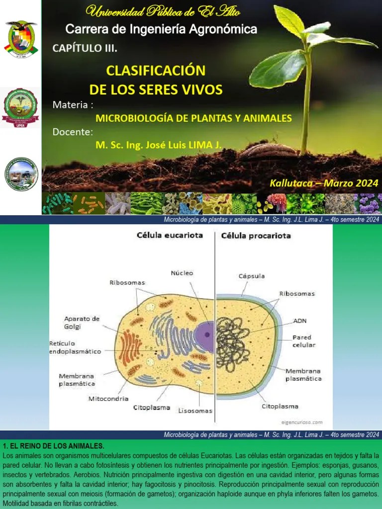 3a-Clasificacion Seres Vivos | PDF | Hongo | Algas