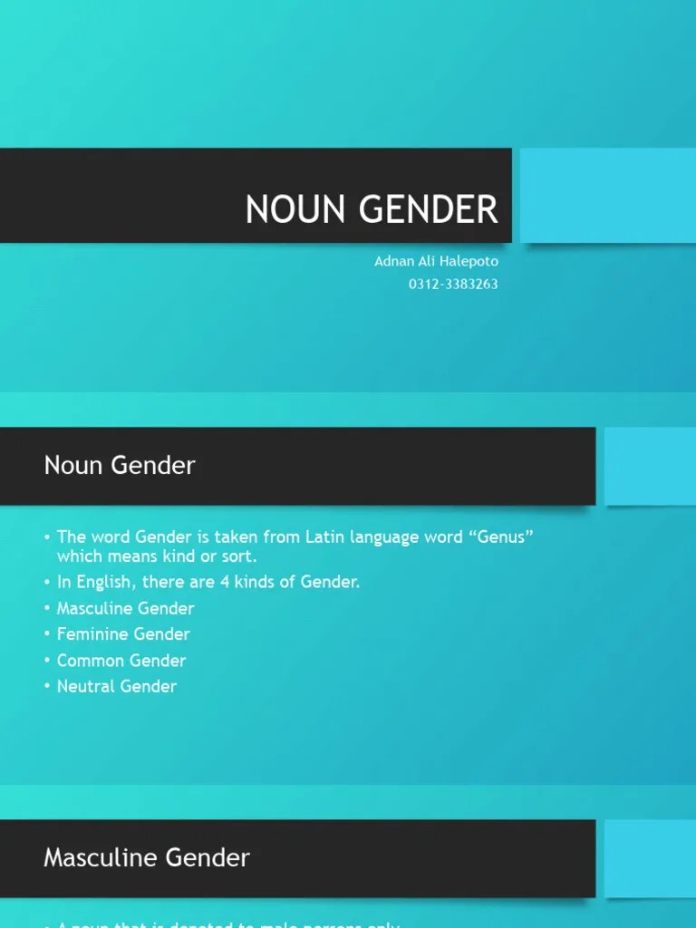 Noun Gender | PDF