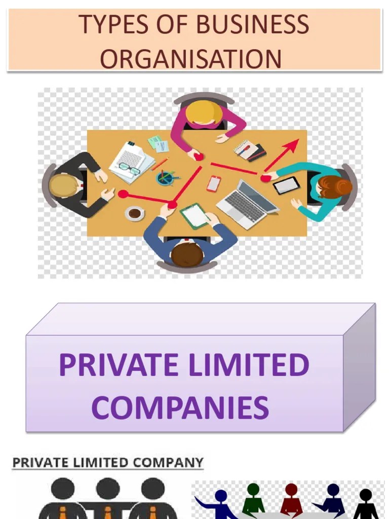 Types Of Business Organisation 3 8e | PDF | Companies | Financial Economics
