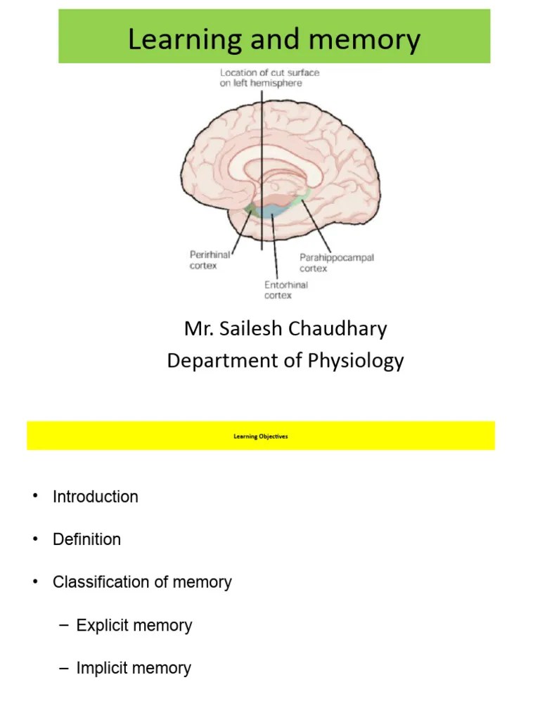 New Learning | PDF | Memory | Recall (Memory)