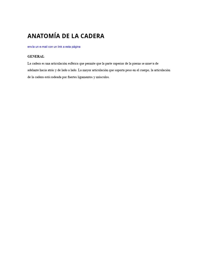 ANATOMÍA DE LA CADERA | PDF