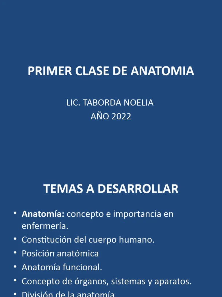 Primer Clase De Anatomia | PDF | Anatomía | Mano