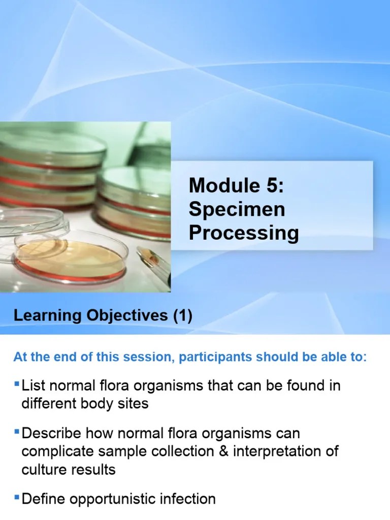 5 Specimen Processing | PDF | Pneumonia | Hospital Acquired Infection