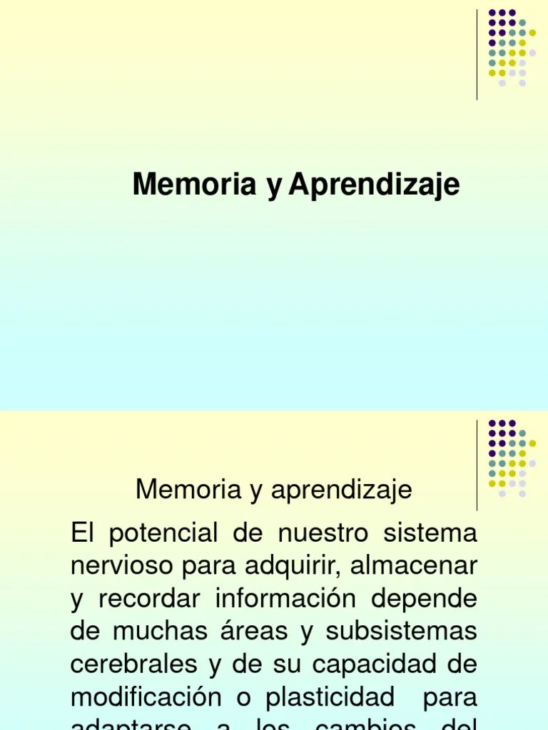 Memoria Y Aprendizaje | PDF | Memoria | Aprendizaje