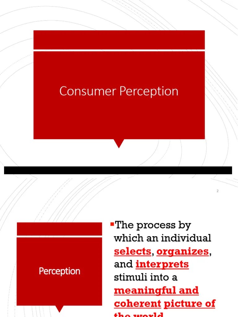 Perception | PDF | Perception | Senses