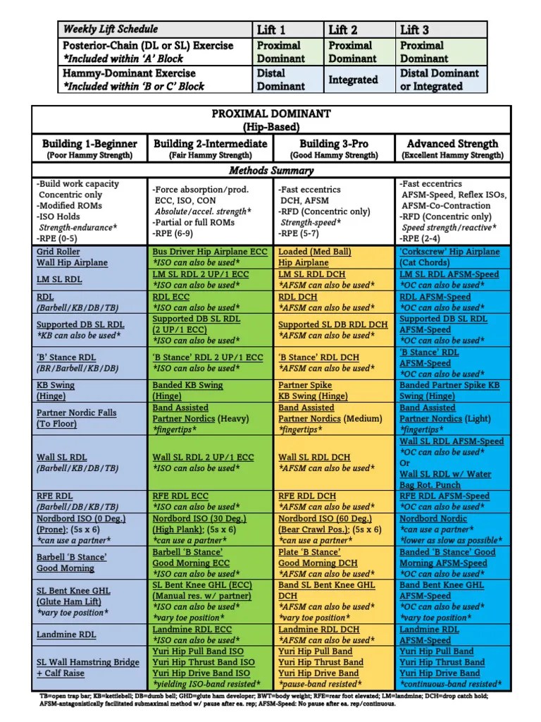 Hamstring Strength Progression Charts 1701631493 | PDF | Weight ...