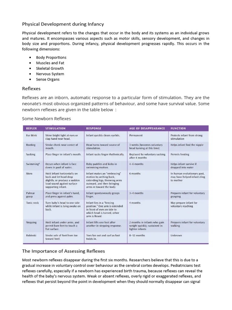 Physical Development 1 | PDF | Infants | Nervous System